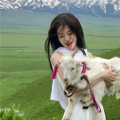 同窗的爱